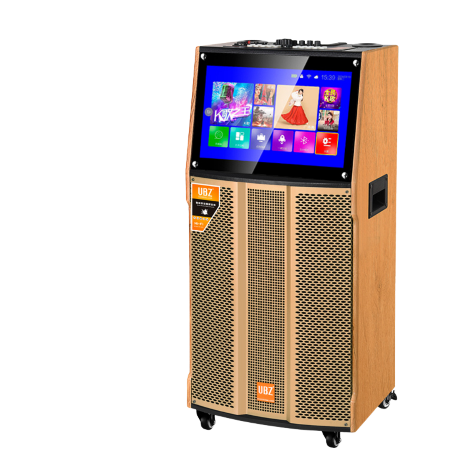 All-In-One Karaoke Machine